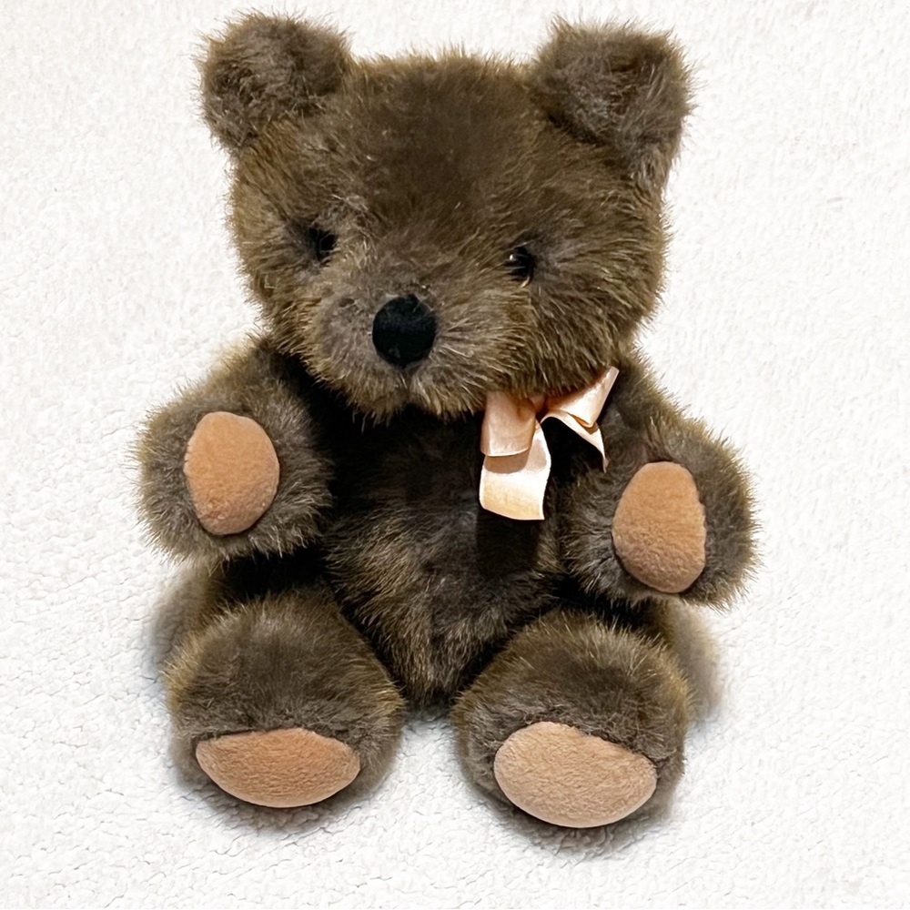 Vintage Dakin Teddy Bear plush stuffed animal 10” 1988